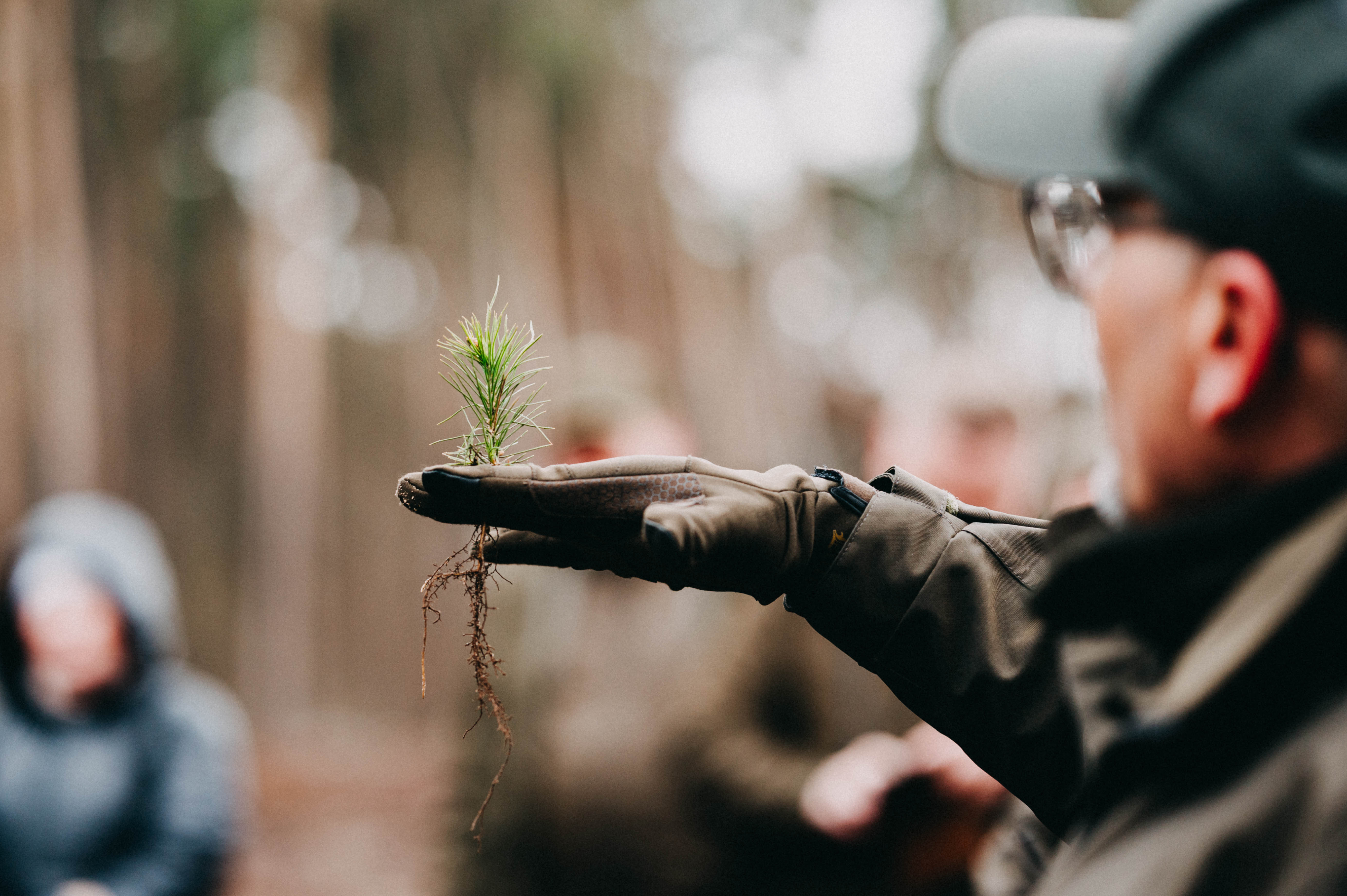 b6c17f5d7bd0-2026-04-09-pulawy-0023